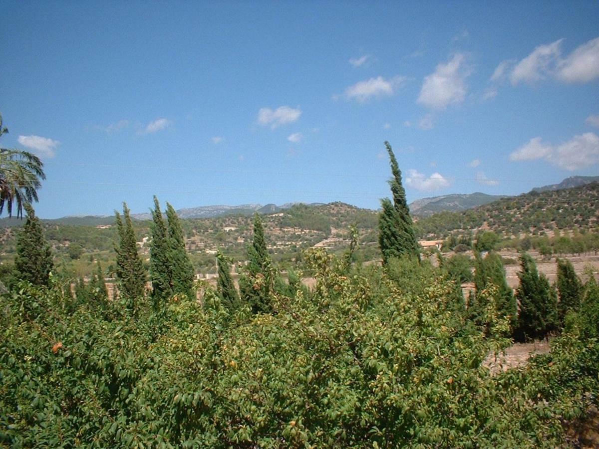 Son Corco Villa Consell